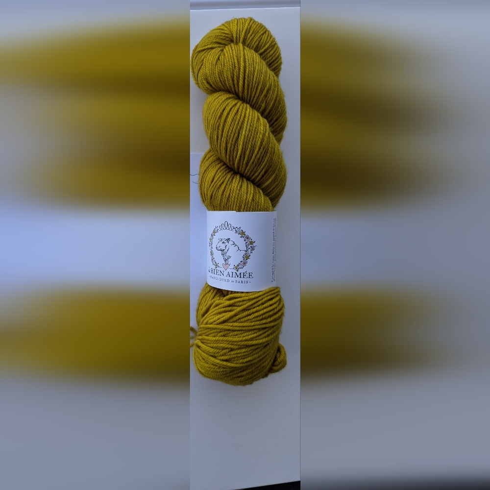 La Bien Aimee DK merino yarn Yellow Brick Road one skein